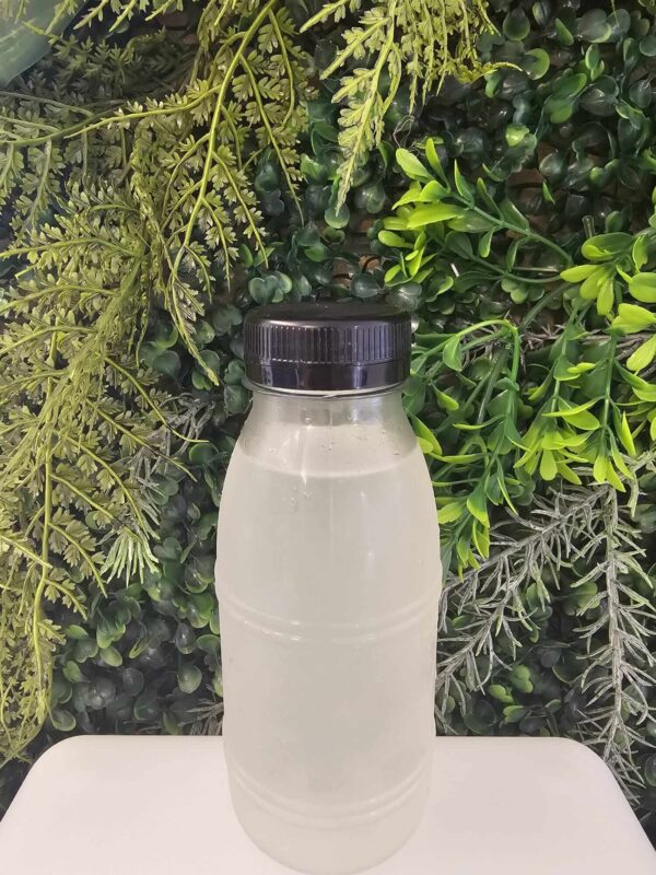 Citronnade Maison